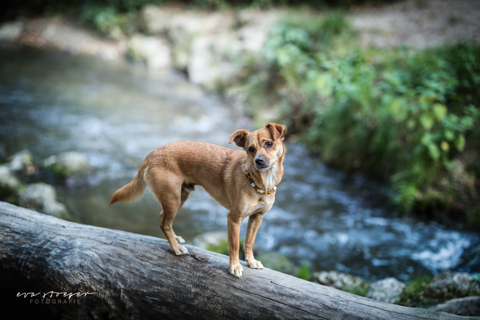 MaX LaBeL - Startseite